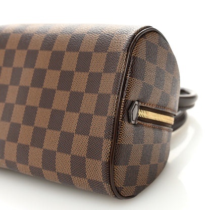 Louis Vuitton Damier Ebene Ribera Mini 10 of 12