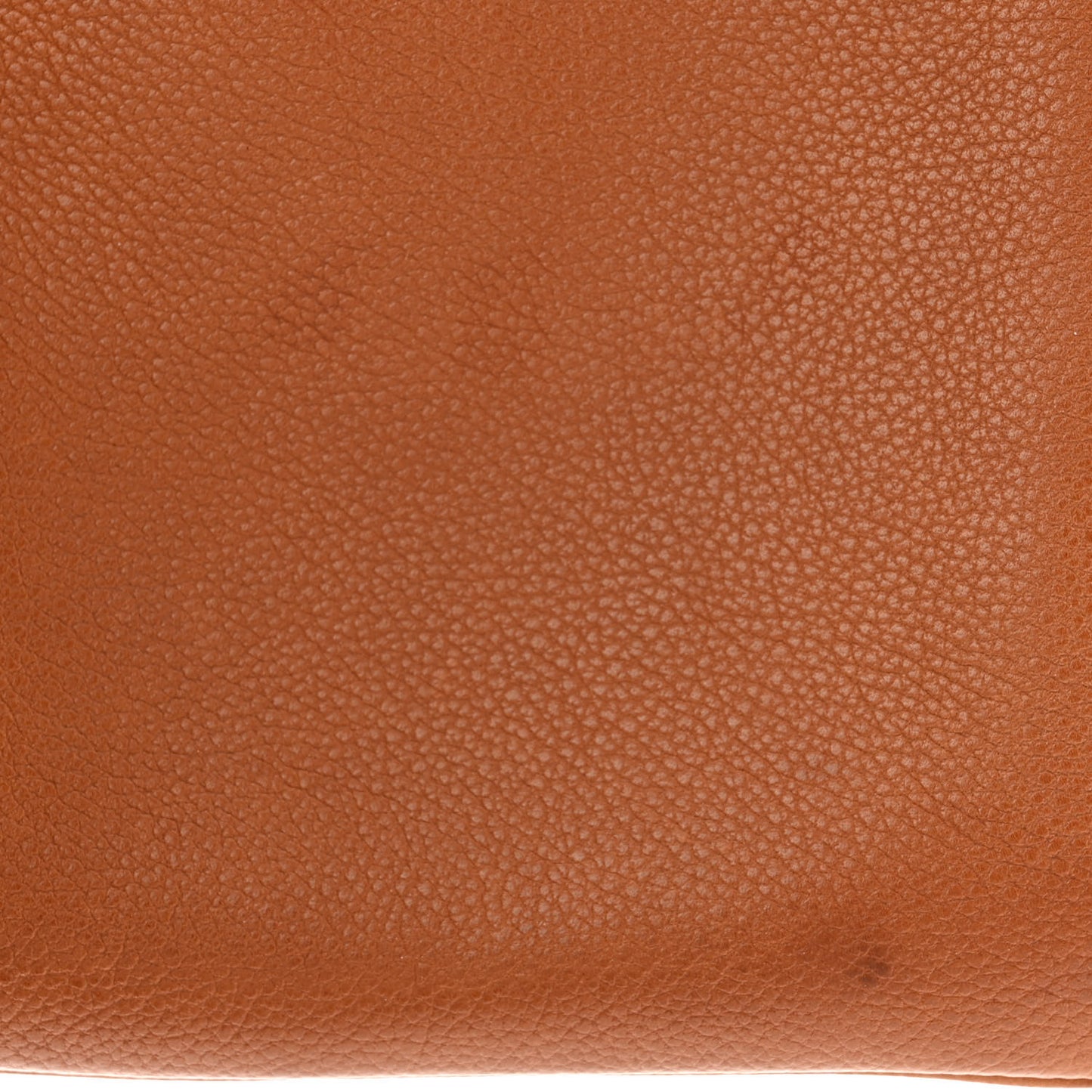 Barenia Faubourg Mini Aline Fauve