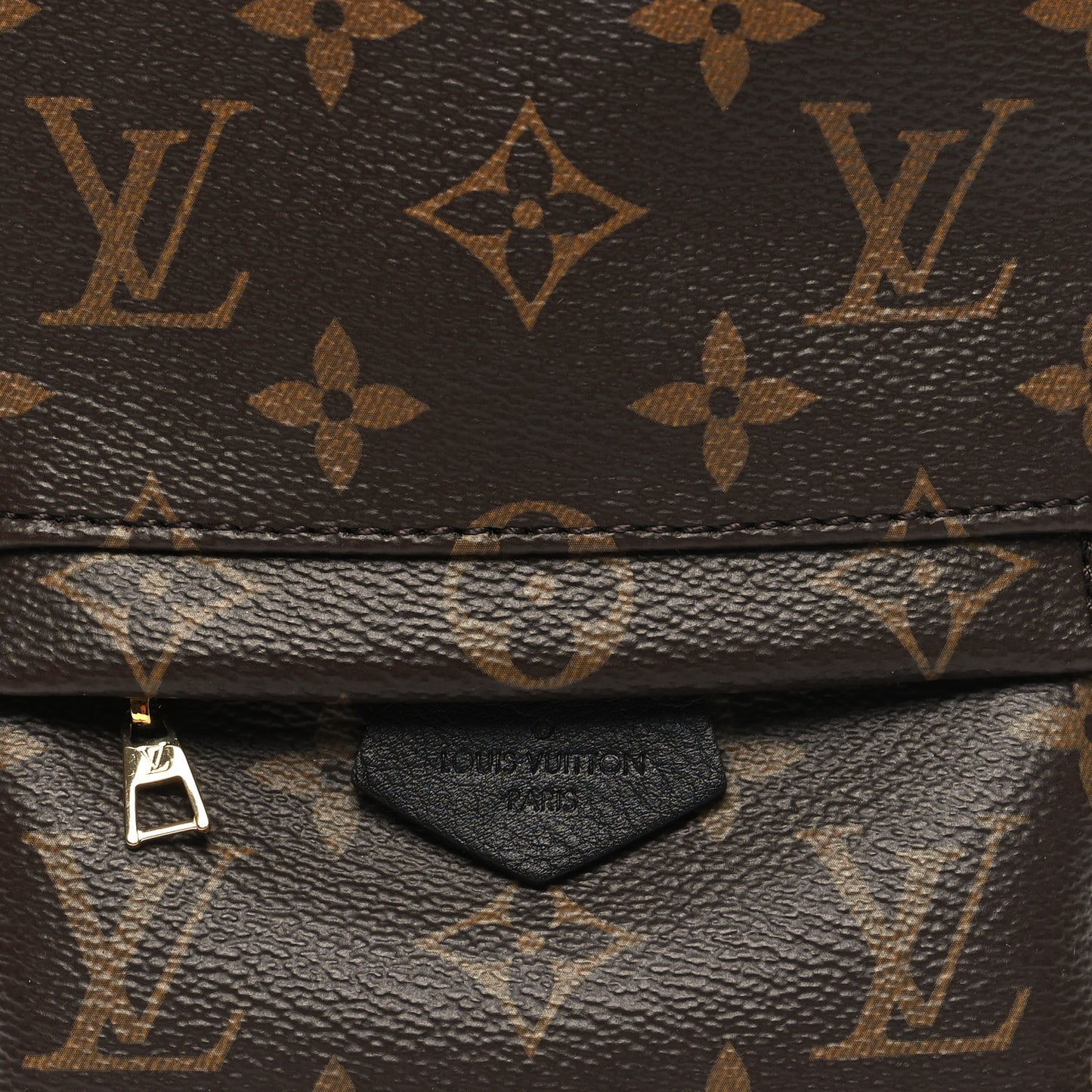 Monogram Palm Springs Backpack Mini