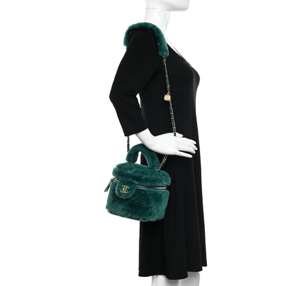 Chanel Shearling Lambskin Quilted Small Vanity Case Green 2 of 10