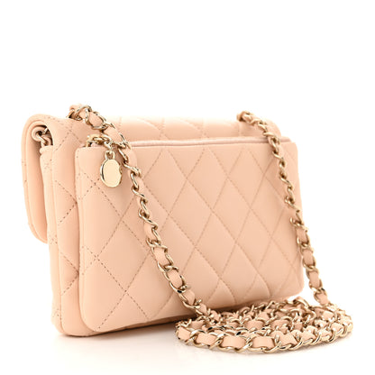 Chanel Lambskin Quilted Daily Zippy Crossbody Beige 3 of 13