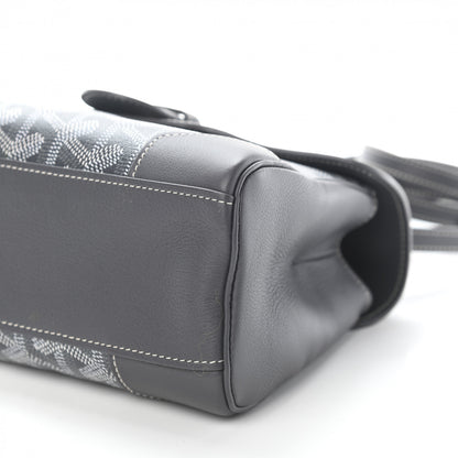 Goyard Goyardine Mini Saigon Grey 9 of 9