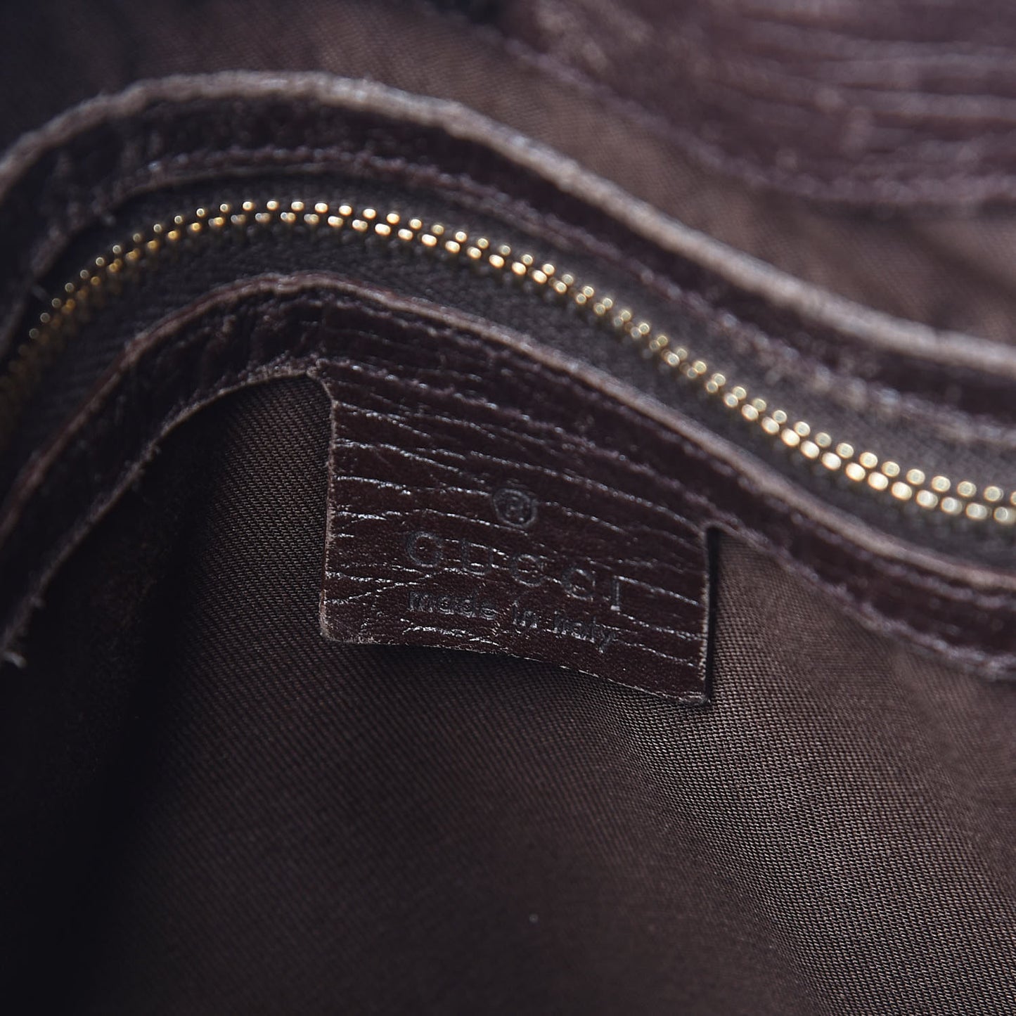 Monogram Hasler Hobo Dark Brown