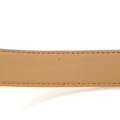 Bottega Veneta Nappa Maxi Intreccio The Belt Cassette Bag Almond 13 of 13