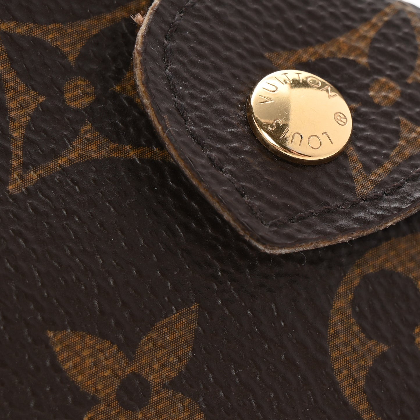 Monogram Sunglasses Case MM