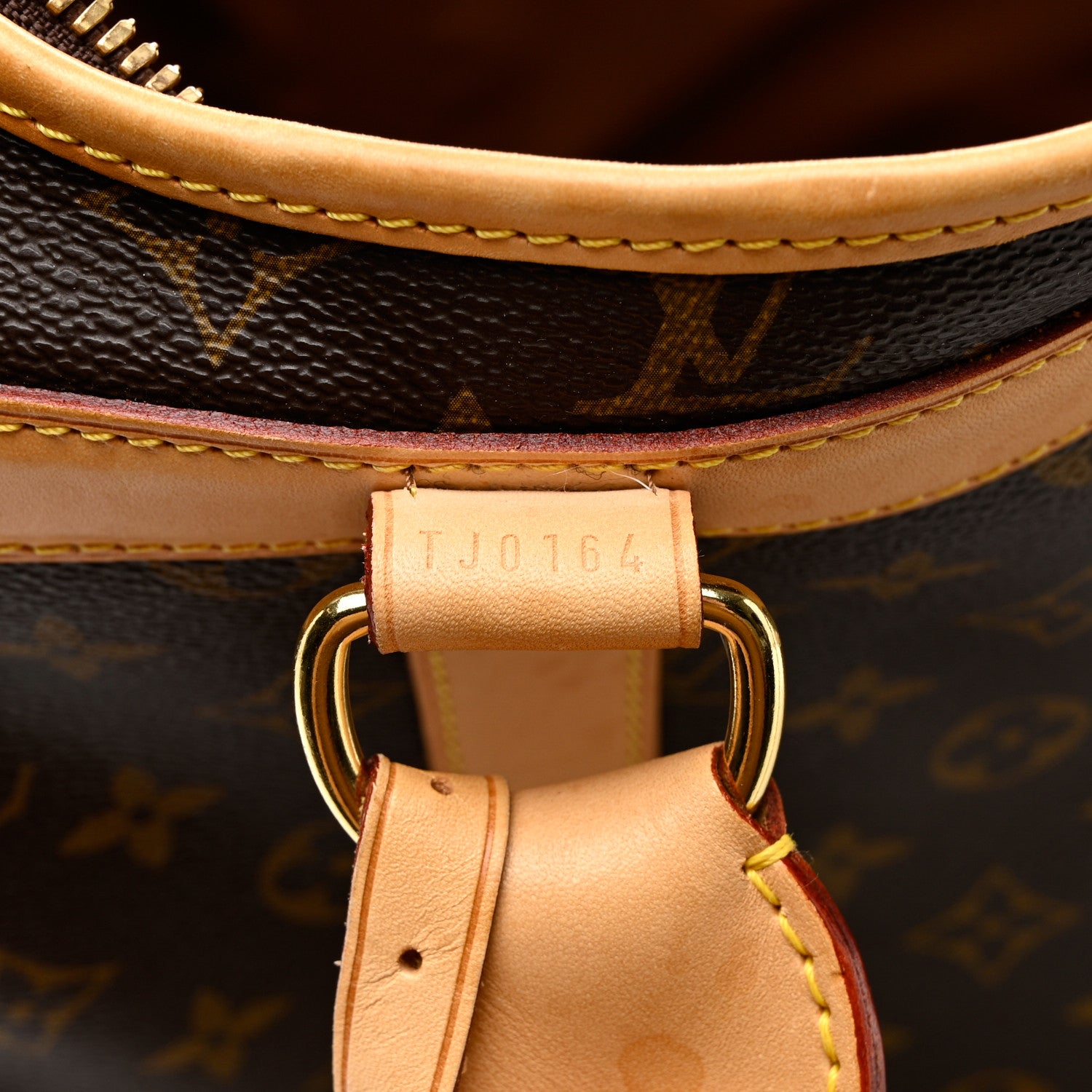 Louis Vuitton Monogram Sac Chien 40 Pet Carrier 7 of 14