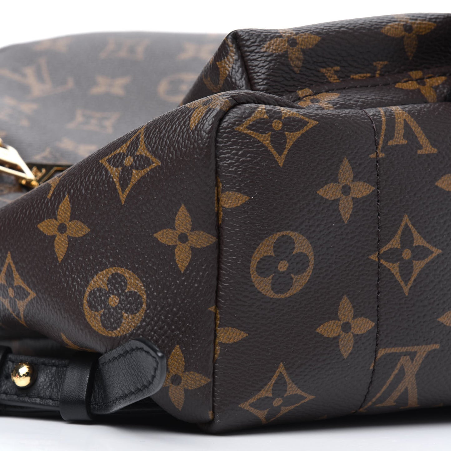 Monogram Palm Springs Backpack PM