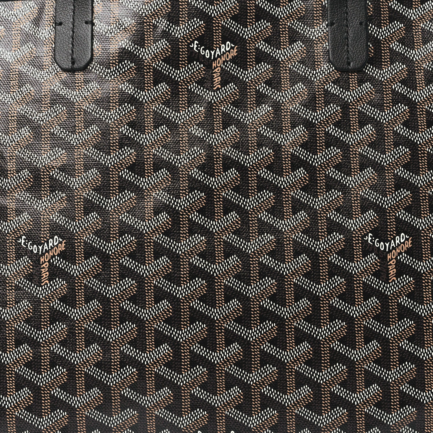 Goyard Goyardine Saint Louis PM Black 8 of 10