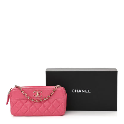 Chanel Metallic Sheepskin Quilted Small Vintage Mademoiselle Clutch With Chain Pink 13 of 13