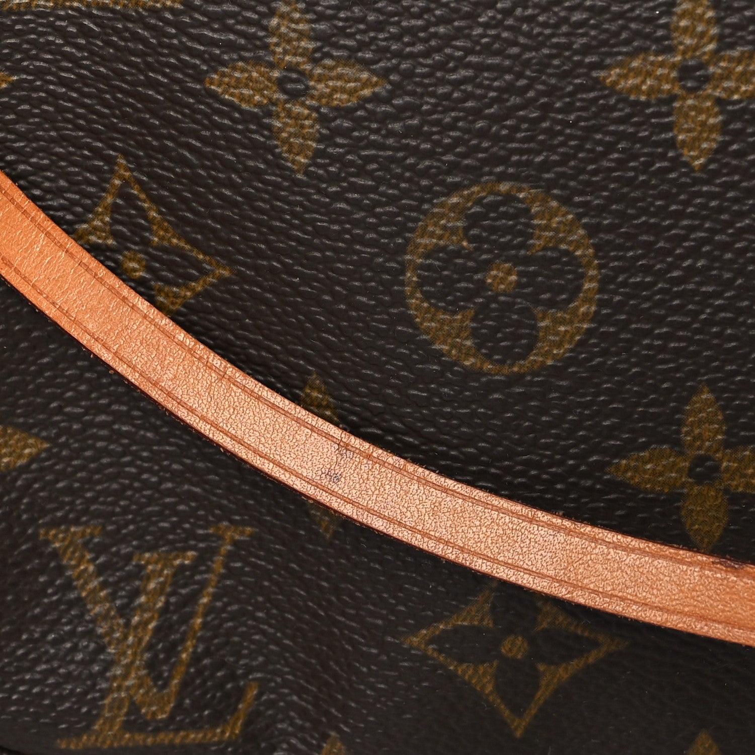 Louis Vuitton Monogram Pochette Accessories 11 of 11