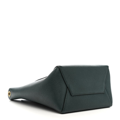 Celine Soft Grained Calfskin Small Sangle Bucket Bag Amazone 4 of 19