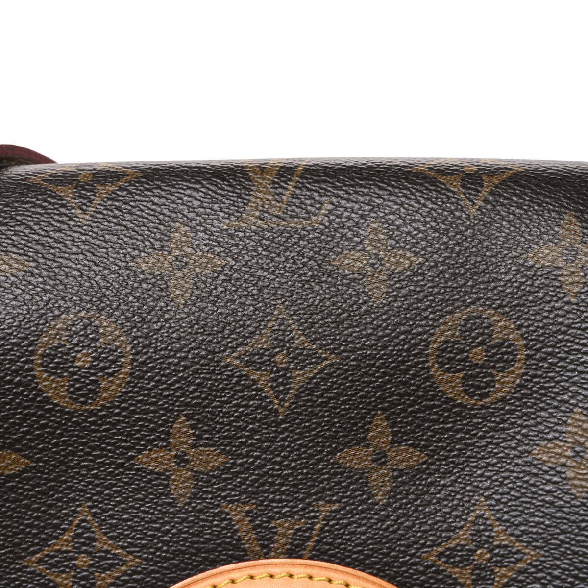 Louis Vuitton Monogram Sologne 8 of 10