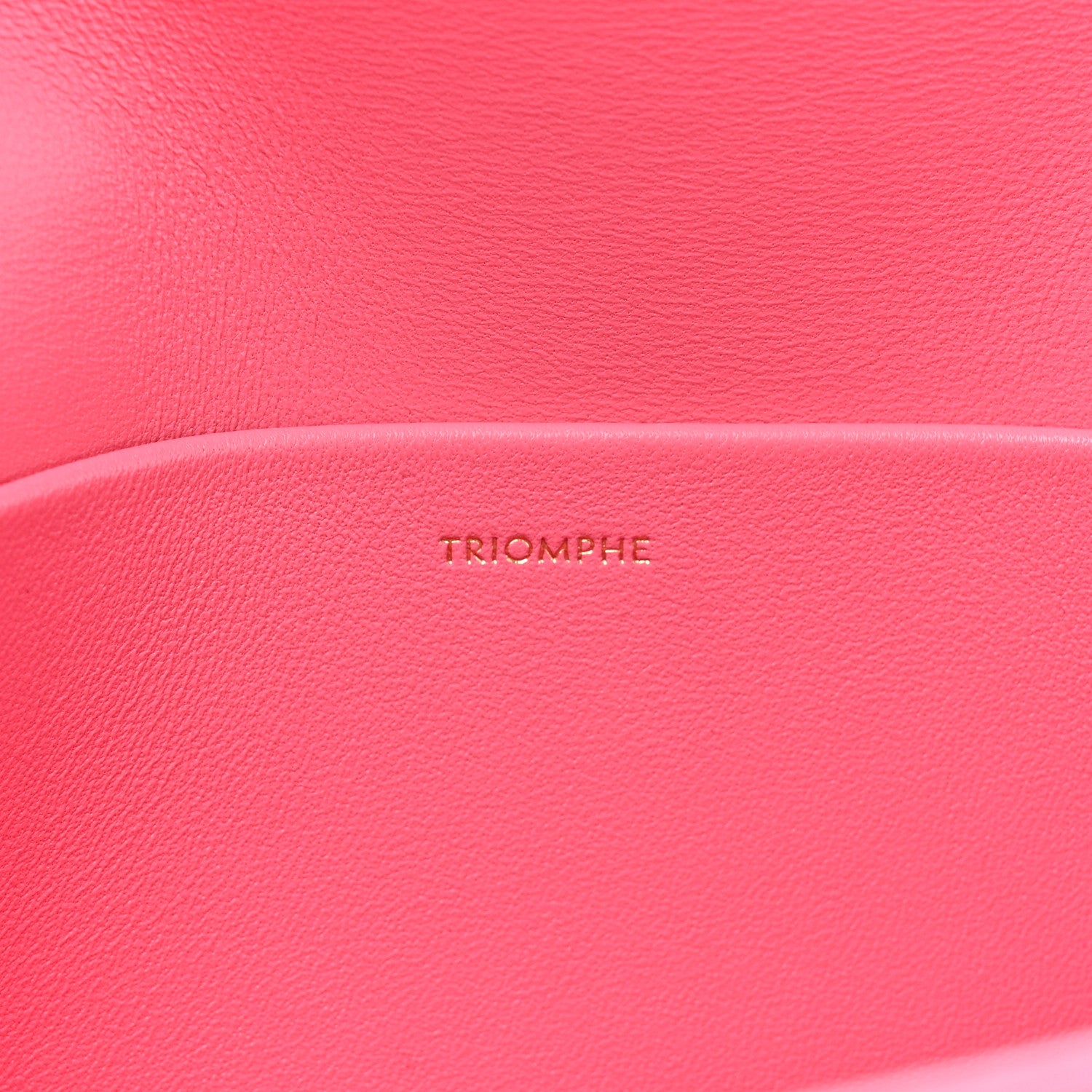 Celine Shiny Calfskin Triomphe Flamingo 6 of 14