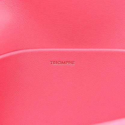Celine Shiny Calfskin Triomphe Flamingo 6 of 14