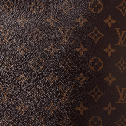 Louis Vuitton Reverse Monogram Triangle Softy 9 of 9