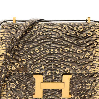 Hermes Lizard Constance 18 Ombre 9 of 16