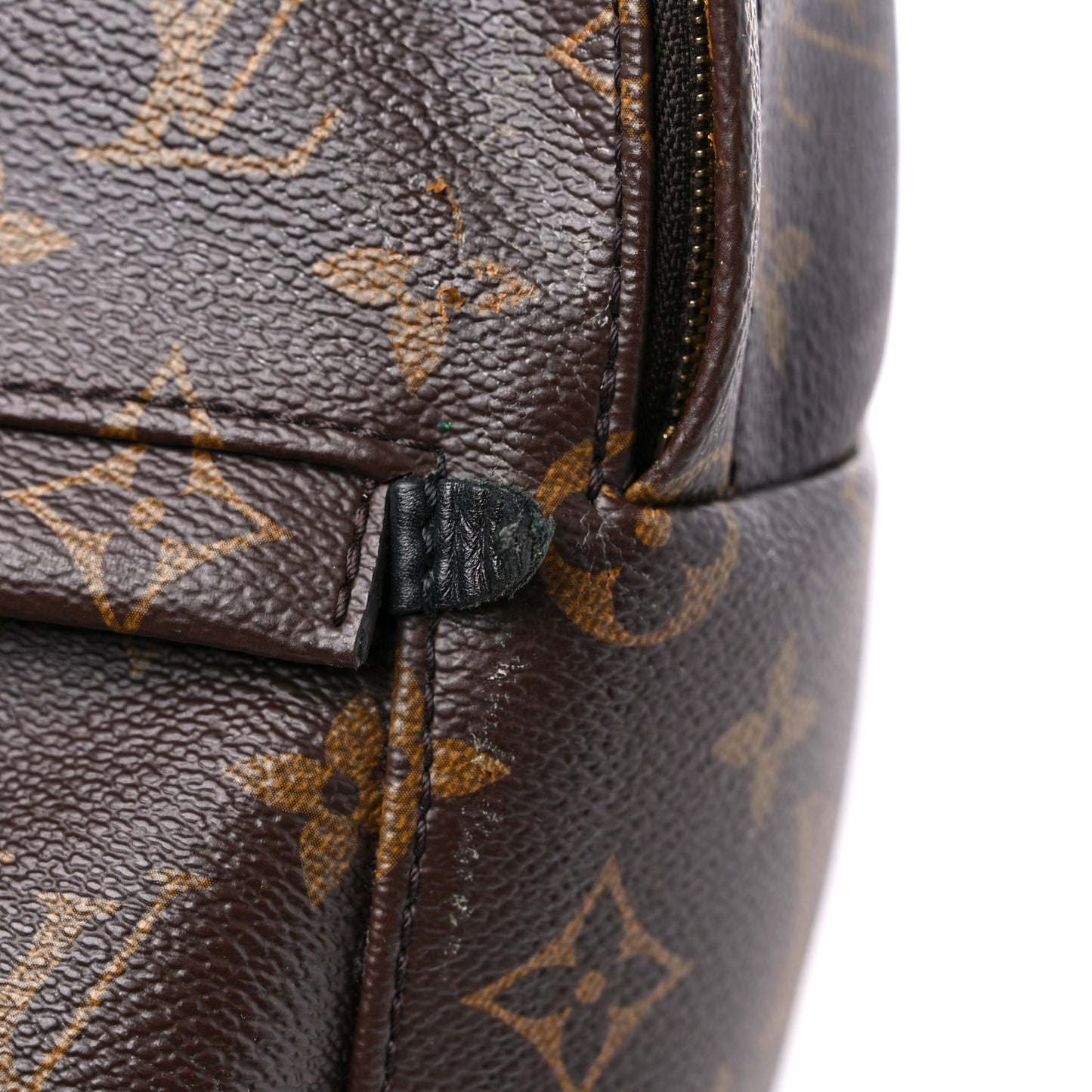 Monogram Palm Springs Backpack Mini