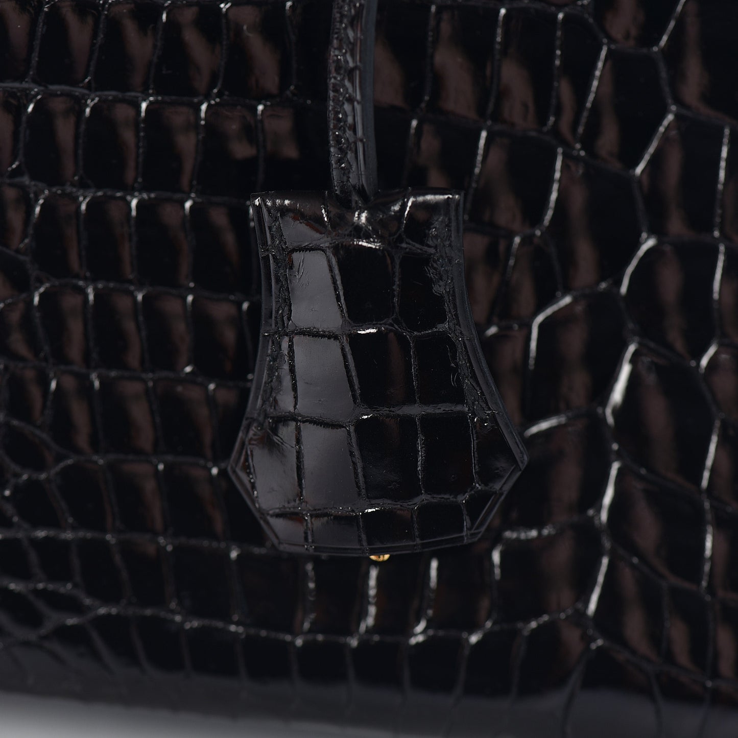 Shiny Porosus Crocodile Birkin 25 Black