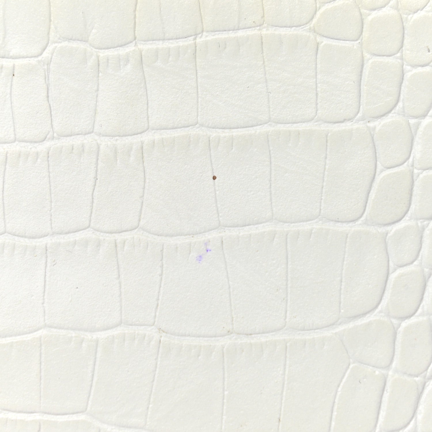 Chanel Calfskin Crocodile Embossed Cocodile Cosmetic Case White Gold 9 of 11