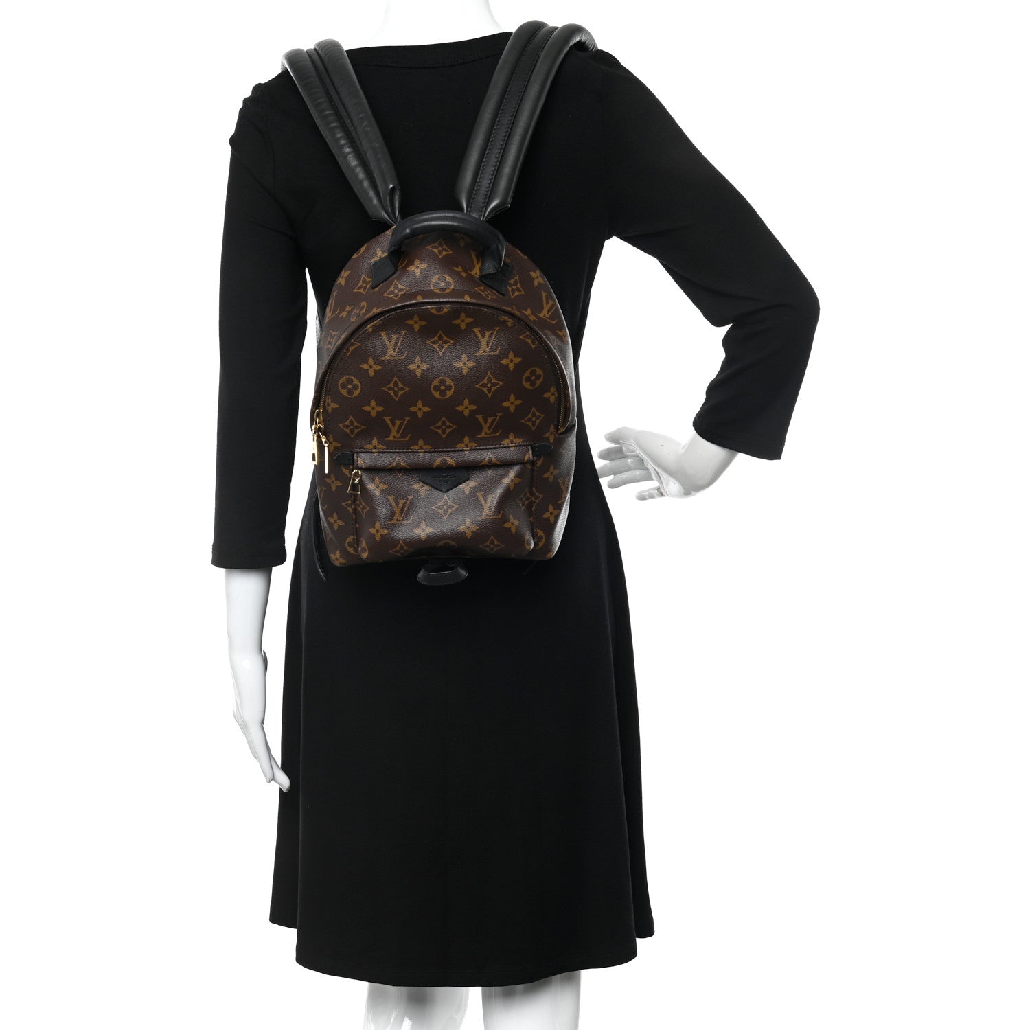 Louis Vuitton Monogram Palm Springs Backpack PM 2 of 9