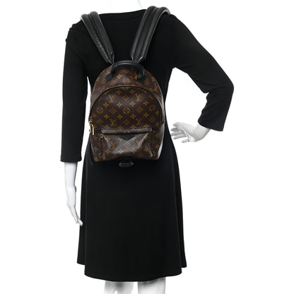 Louis Vuitton Monogram Palm Springs Backpack PM 2 of 9
