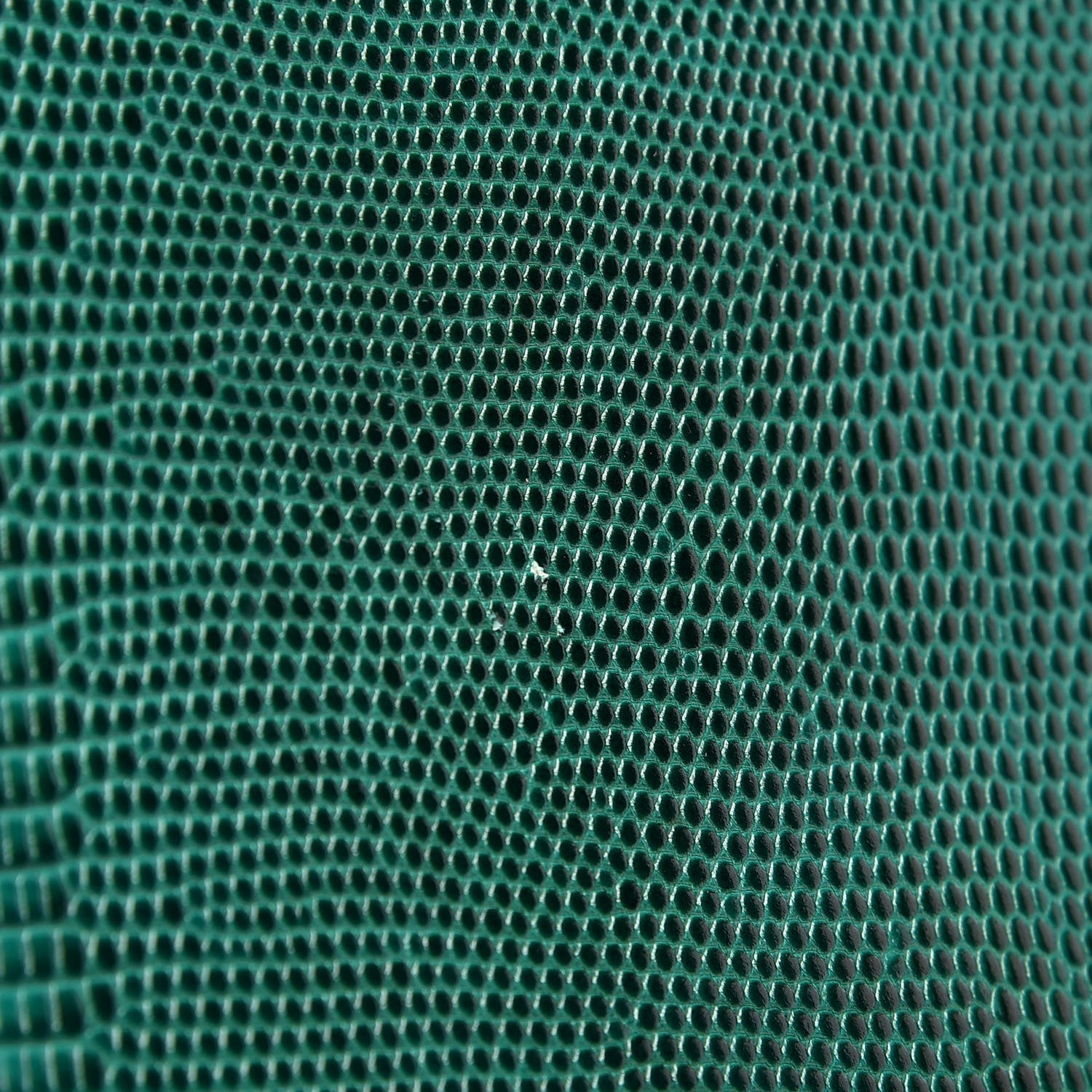 Dolce & Gabbana Lizard Calfskin Embossed Small Monica Top Handle Bag Green 11 of 13