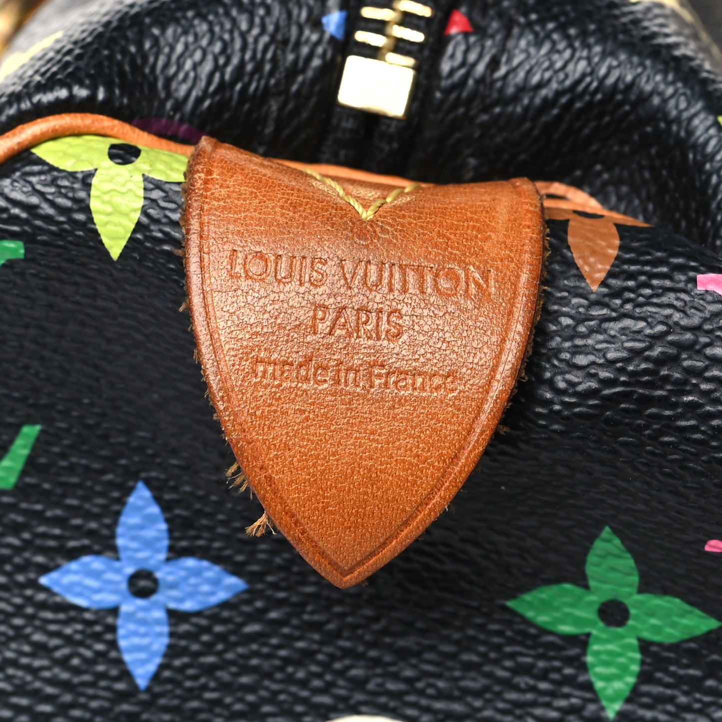 Monogram Multicolor Speedy 30 Black