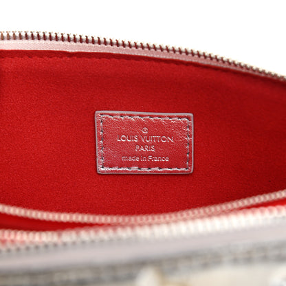 Louis Vuitton Metallic Lambskin Embossed Monogram Coussin PM Silver 8 of 17