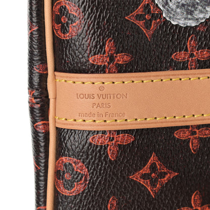 Louis Vuitton Catogram Speedy Bandouliere 30 Marron 6 of 10