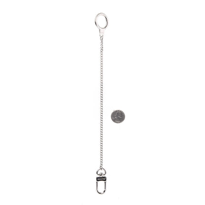 Louis Vuitton Pochette Extender Key Ring Chain Silver 2 of 4