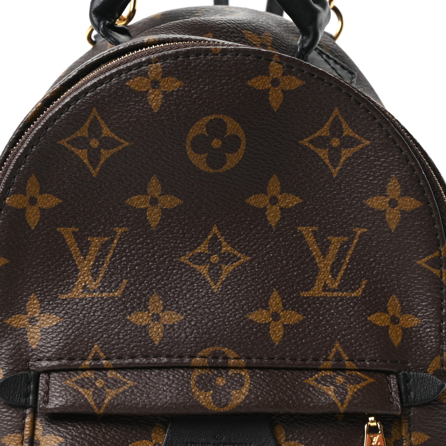 Monogram Palm Springs Backpack Mini