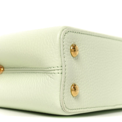 Louis Vuitton Taurillon Karung Mini Capucines Vert D'eau Green 7 of 8