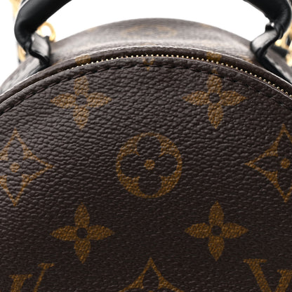 Louis Vuitton Monogram Palm Springs Backpack Mini 8 of 10
