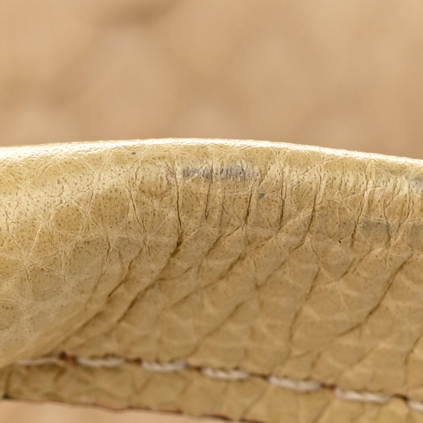 Snakeskin Medium Paraty Beige