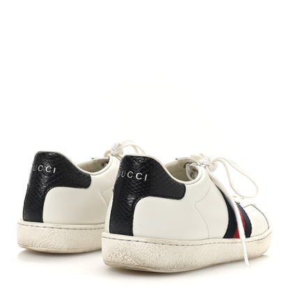 Gucci Calfskin Ayers Web Womens Ace Sneakers 37 White Blue 5 of 8