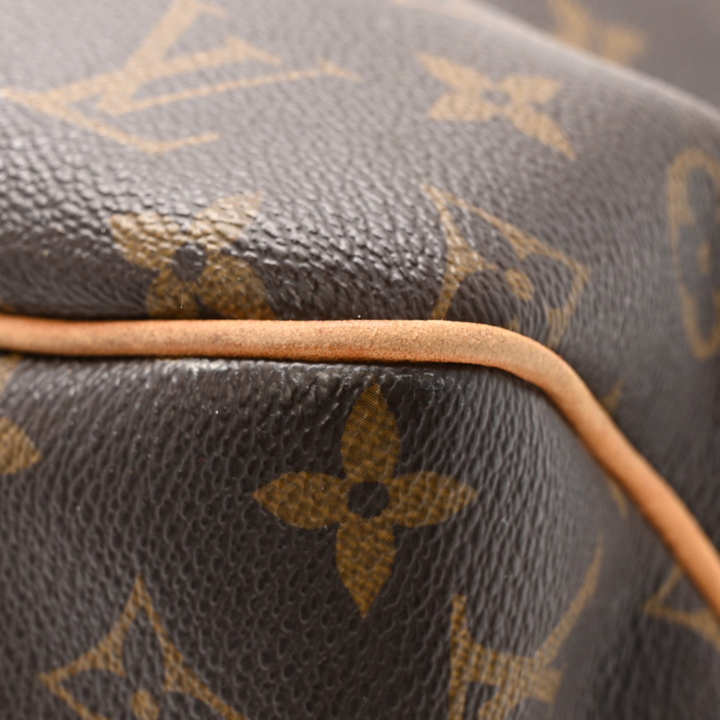 Monogram Delightful MM