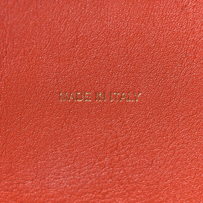 Celine Shiny Smooth Calfskin Zebra Printed Calf Hair Small Twisted Cabas Chalk Brick 8 of 10