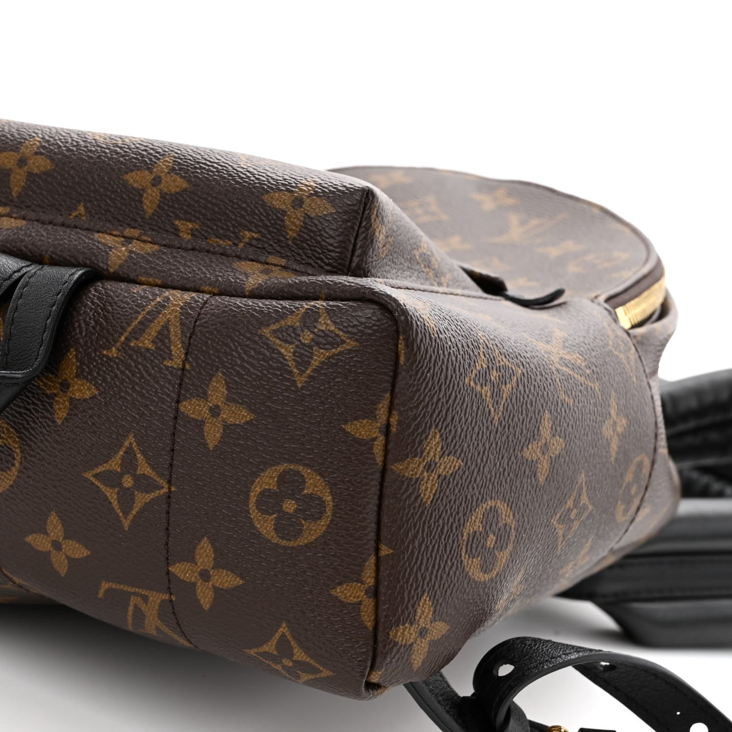 Monogram Palm Springs Backpack PM