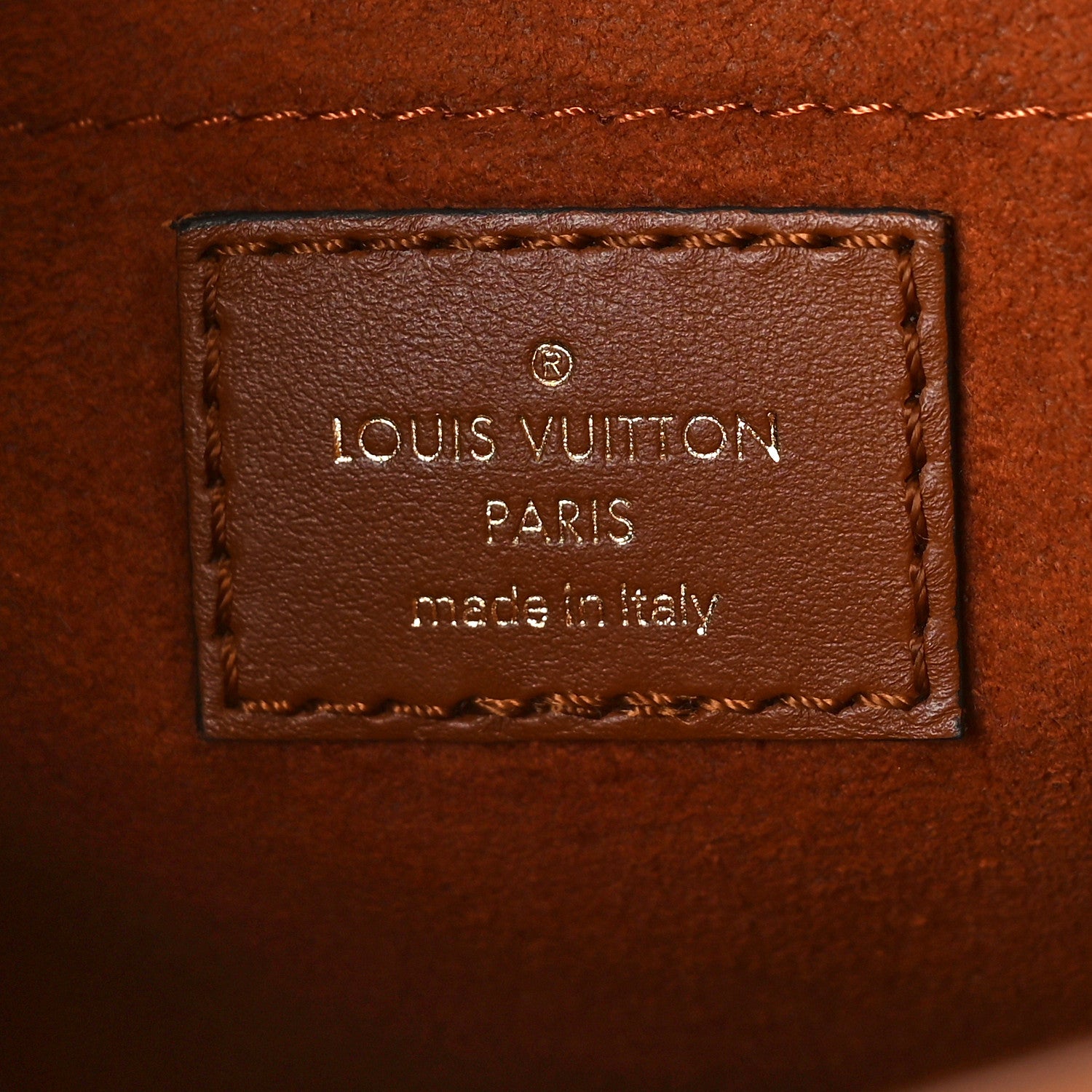 Louis Vuitton Kitted Raffia Petit Bucket Caramel 6 of 8