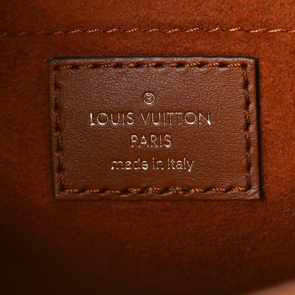 Louis Vuitton Kitted Raffia Petit Bucket Caramel 6 of 8