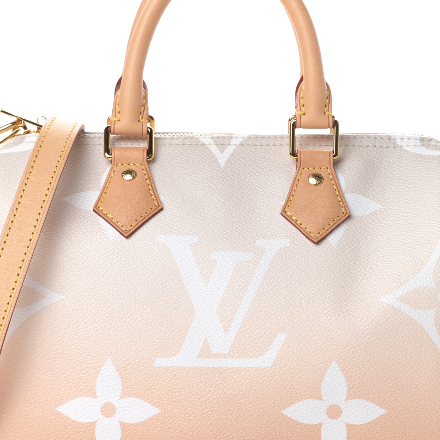 Louis Vuitton Monogram Giant By The Pool Speedy Bandouliere 25 Brume 8 of 10