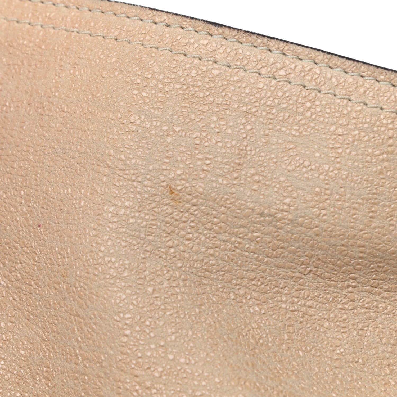 Mulberry Alexa Hobo Powder Sparkle 13 of 13
