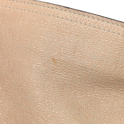 Mulberry Alexa Hobo Powder Sparkle 13 of 13