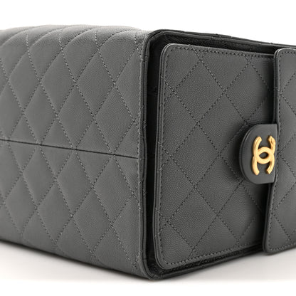 Chanel Caviar Quilted Medium Chanel 25 Handbag Dark Grey 10 of 11