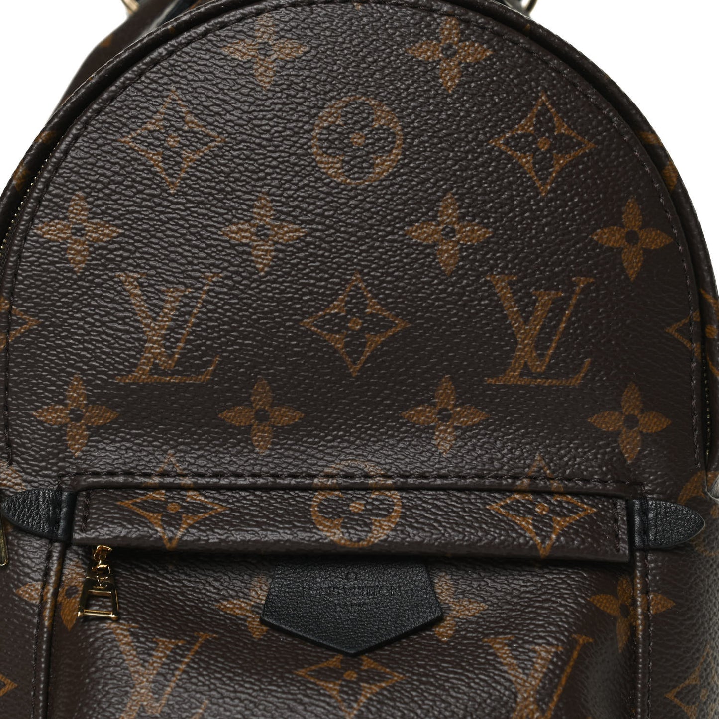 Monogram Palm Springs Backpack Mini