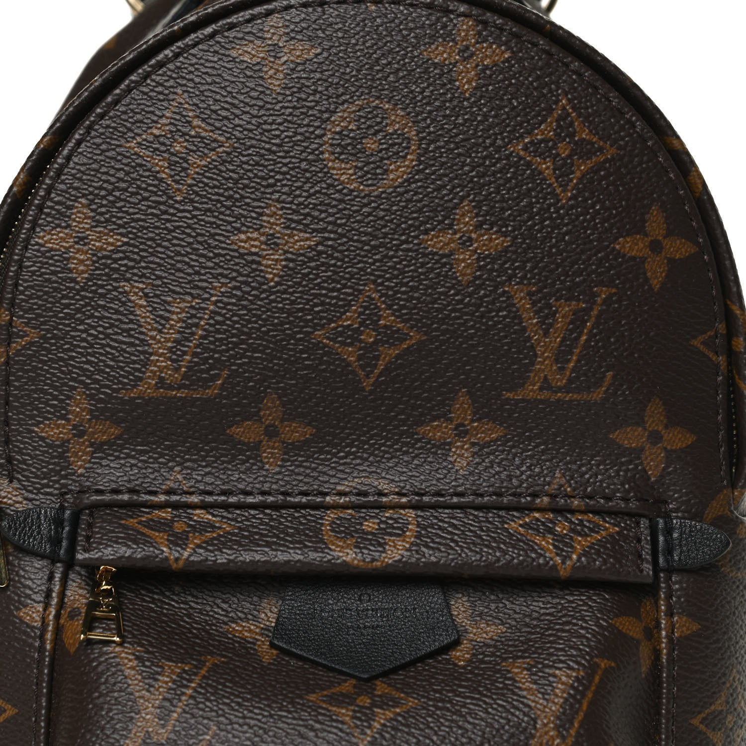 Louis Vuitton Monogram Palm Springs Backpack Mini 7 of 11
