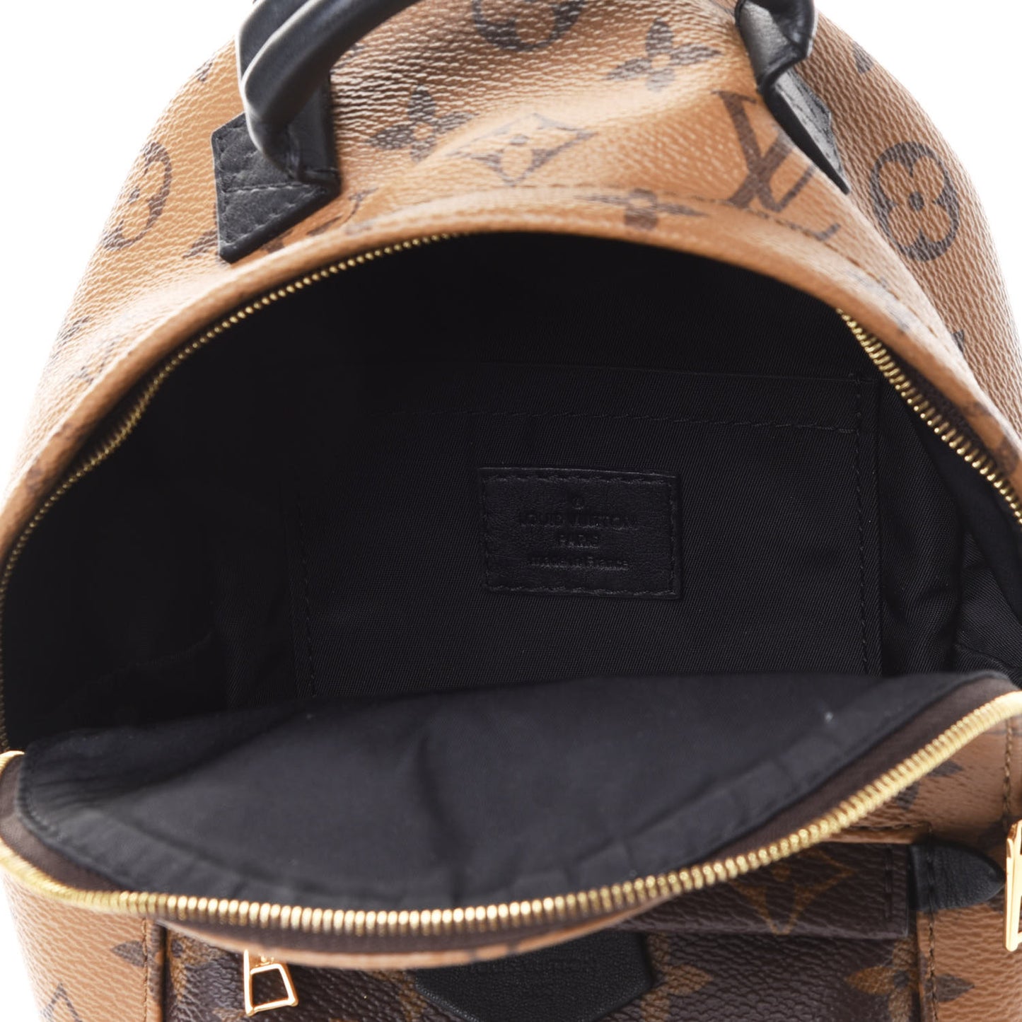 Reverse Monogram Palm Springs Backpack Mini