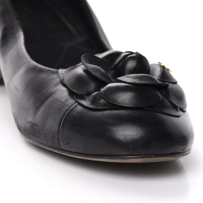 Chanel Lambskin Camellia Pumps 41 Black 13 of 13