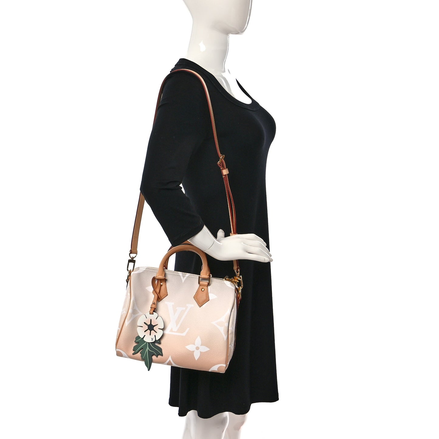 Monogram Giant By The Pool Speedy Bandouliere 25 Brume