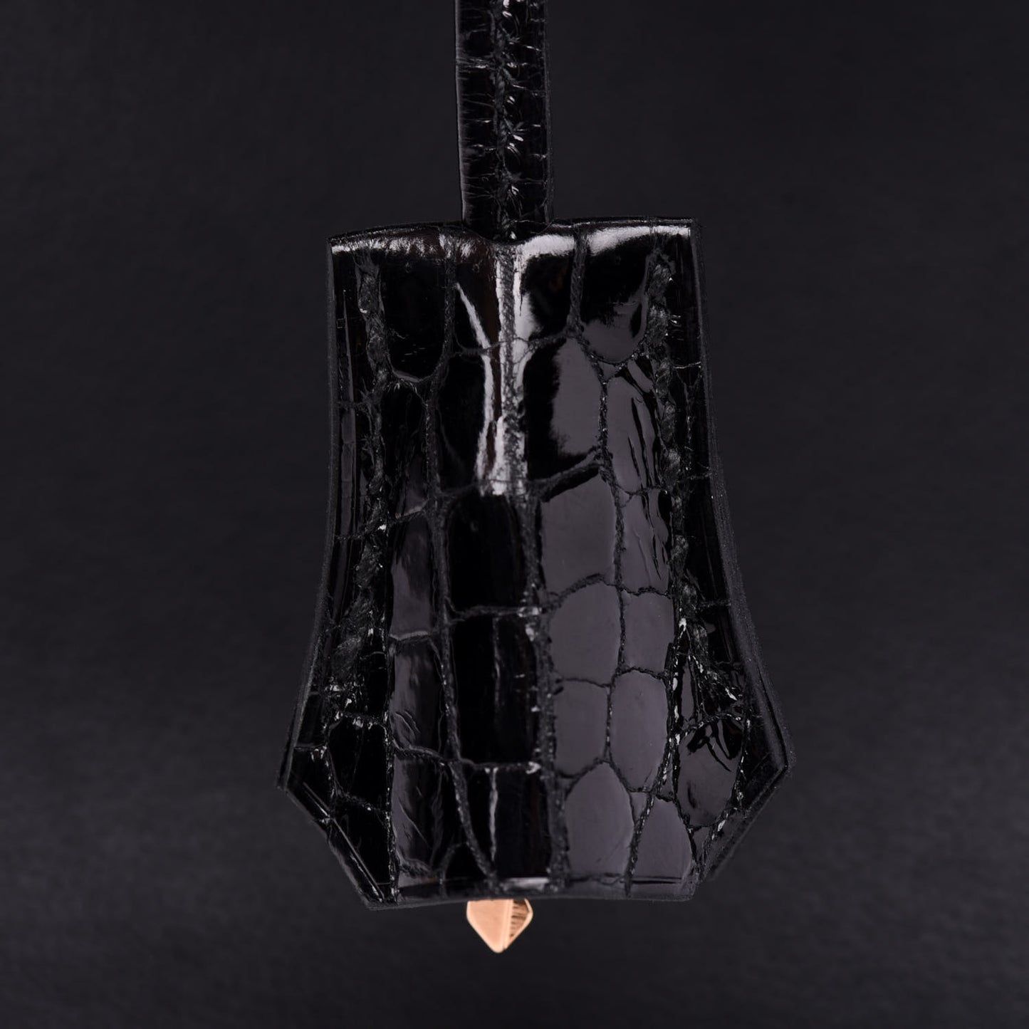Taurillon Novillo Shiny Niloticus Crocodile Birkin Touch 25 Black